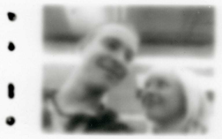 Kontaktabzüge (2013)