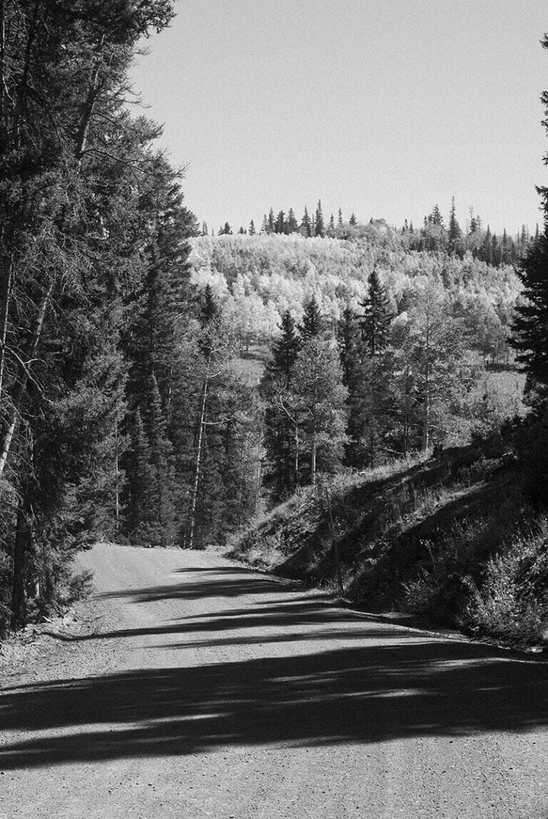 Fishlake National Forest, Utah (2015)