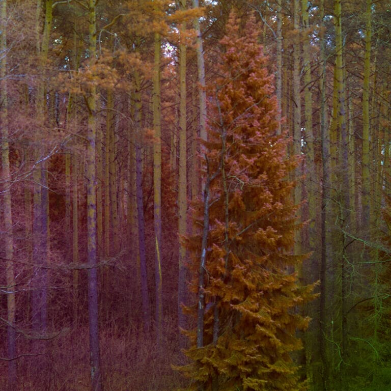 Full Spectrum // Volles Spektrum (2021)