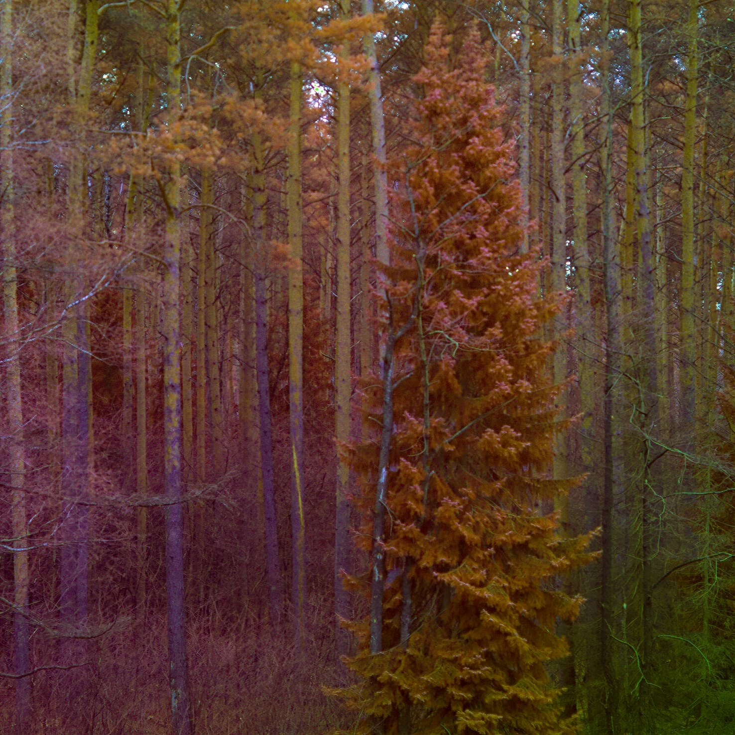 Full Spectrum (2021)