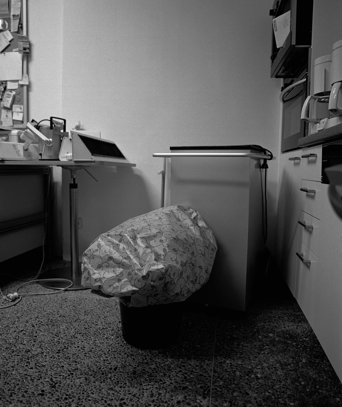 Flowers as exhibition contribution (2015)