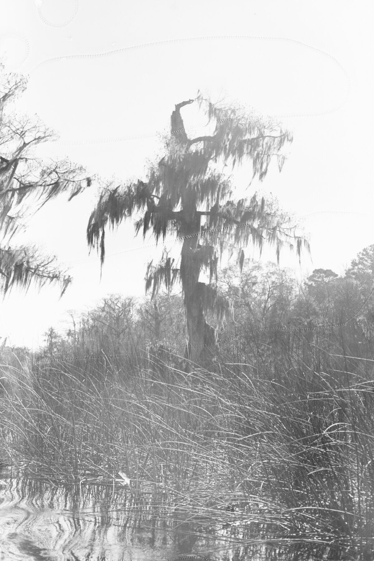 machine washed (2016)