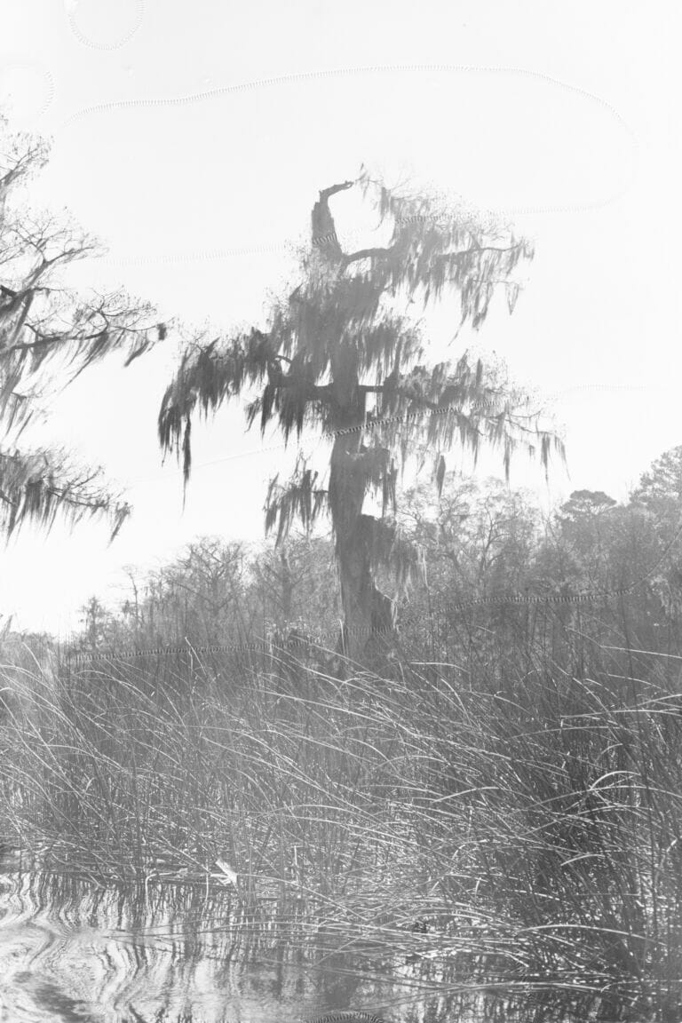 maschinell gewaschen (2016)