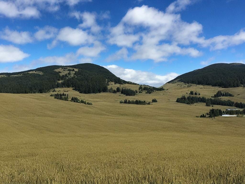 Mountain Flax Fields 8k Ultrarealistic Photogr Ika8nis0