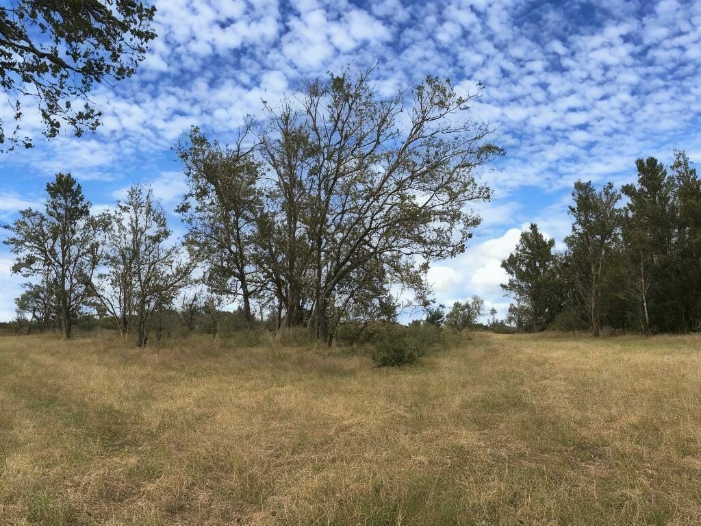 Roadside Erica Flowers 8k Ultrarealistic Photo Ijr077p0