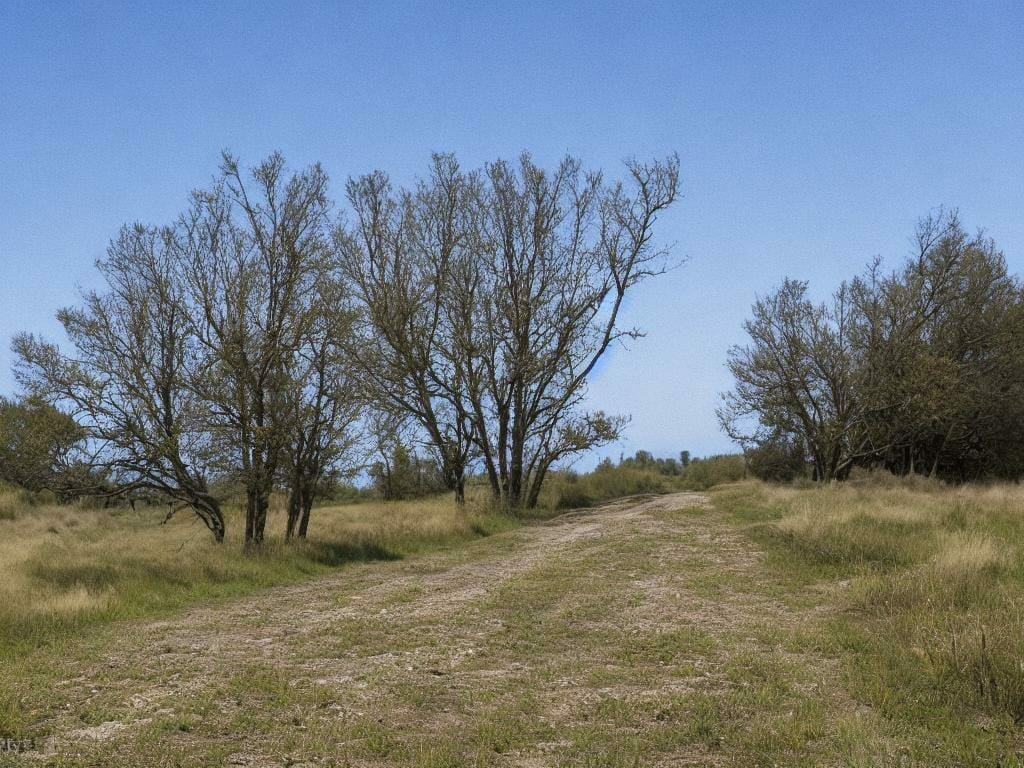 Roadside Erica Flowers 8k Ultrarealistic Photo Ijrf2ak0