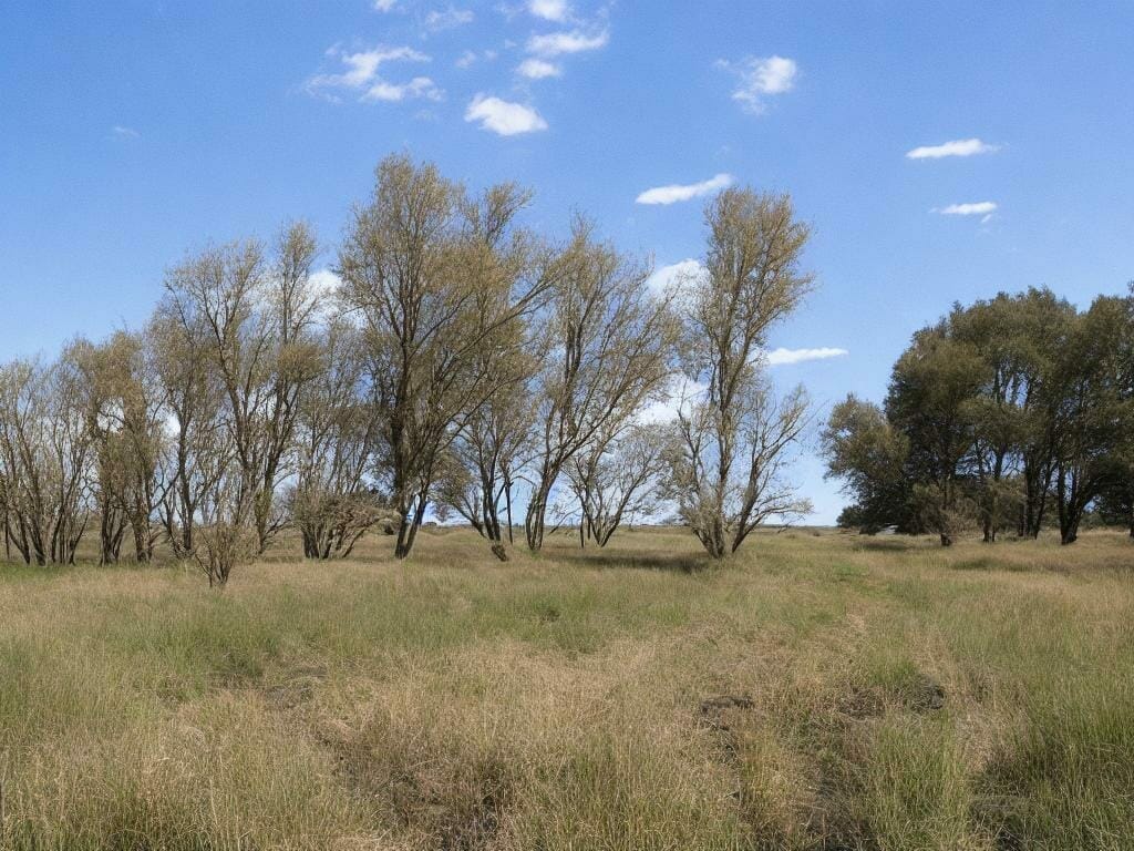Small River Flax Fields 8k Ultrarealistic Phot Ik7hs5b0