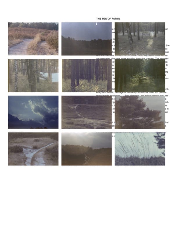 a screenshot of a cell phone