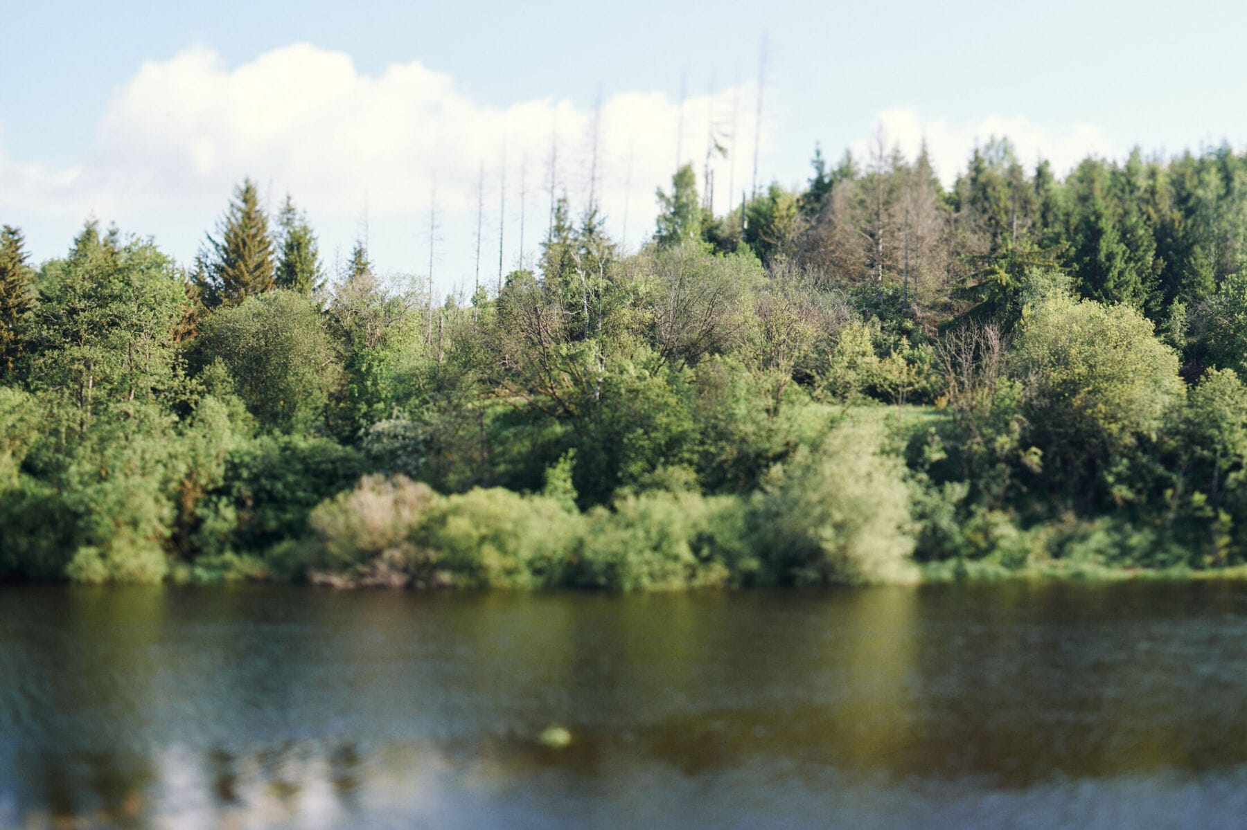 Walk2 – Harz (2024)