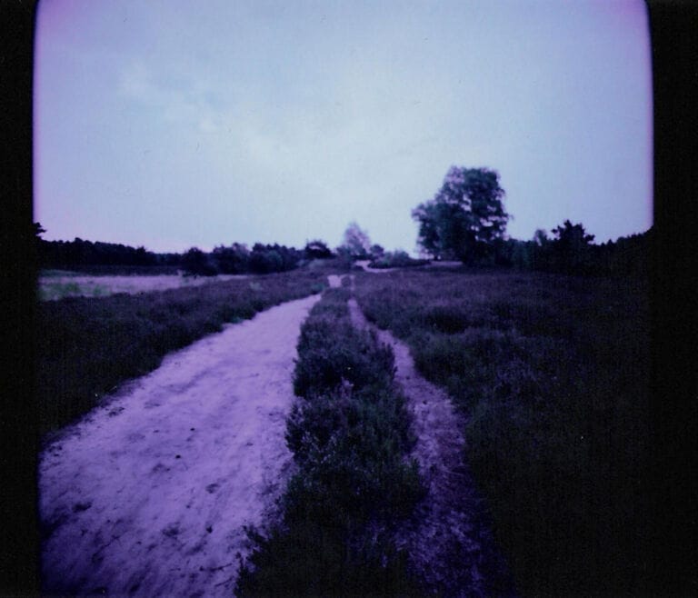 Polaroids 2009 bis 2010 (2009)