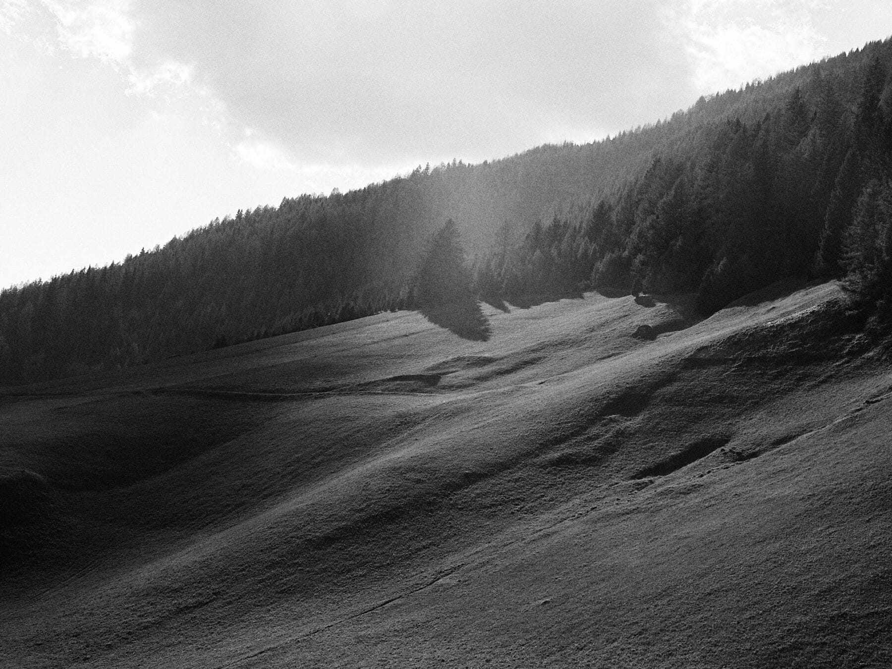 mountainside // bw + raw,ooc (2025)
